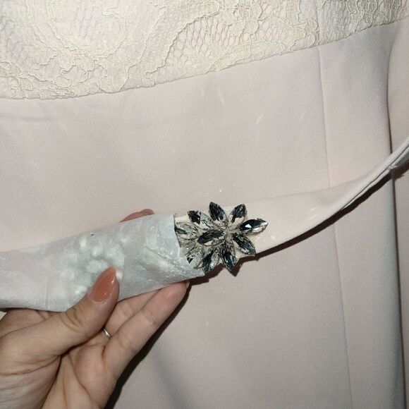 NWT Jenny Peckham Blush Lace & Crepe Column Gown Size 12 - Picture 3 of 10